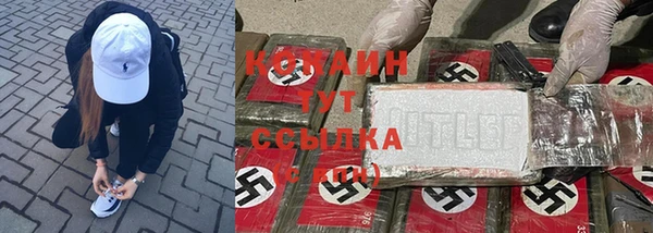 соль ск Абаза