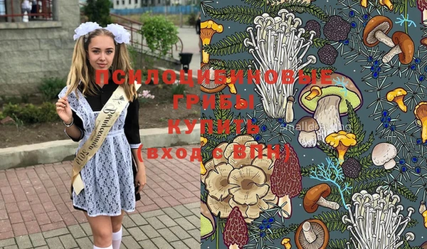 индика Гусиноозёрск