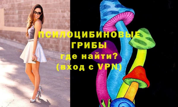 ПСИЛОЦИБИНОВЫЕ ГРИБЫ Абинск
