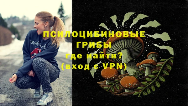 ПСИЛОЦИБИНОВЫЕ ГРИБЫ Абинск