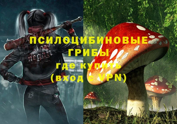 ПСИЛОЦИБИНОВЫЕ ГРИБЫ Абинск