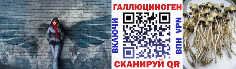Галлюциногенные грибы мухоморы  что такое   Тамбов 
